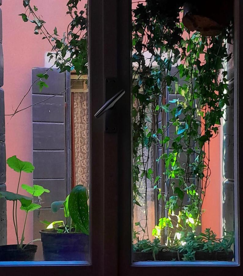 Discovery Hostal